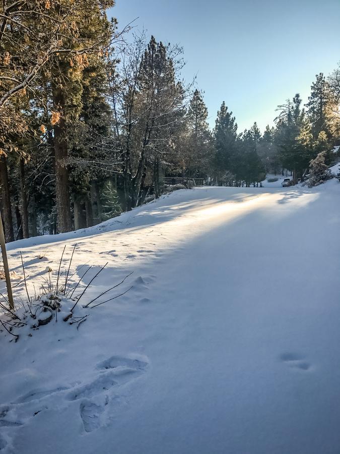 Tres Bien Ensemble Villa Big Bear Lake Eksteriør bilde